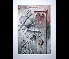 Graphic Studio La Sirena