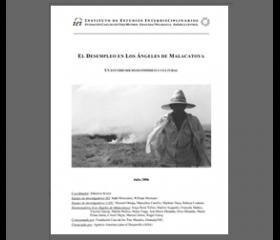 IEI (2007) Diagnóstico participativo sobre el desempleo en Los Ángeles de Malacatoya
